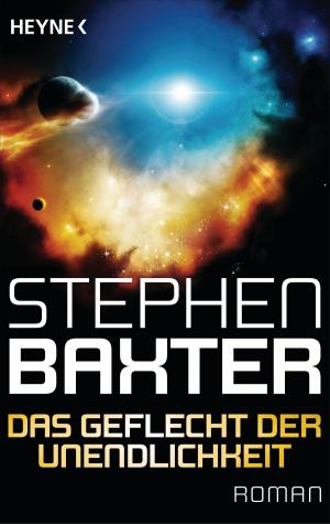 Cover of the book Das Geflecht der Unendlichkeit by Alan Dean Foster