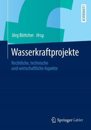 Cover of the book Wasserkraftprojekte by Johannes Buchmann