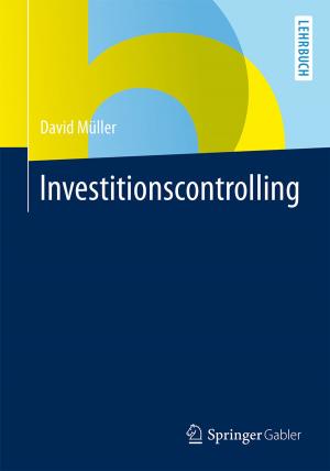 Cover of the book Investitionscontrolling by Lloyd M. Nyhus, M. Caix, G. Champault, J. Hureau, S. Juskiewenski, D. Marchac, J.P.H. Neidhardt, J. Rives, R. Stoppa
