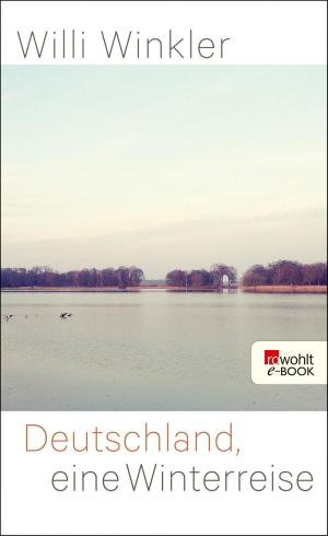 Cover of the book Deutschland, eine Winterreise by Angela Sommer-Bodenburg