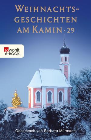 Book cover of Weihnachtsgeschichten am Kamin 29