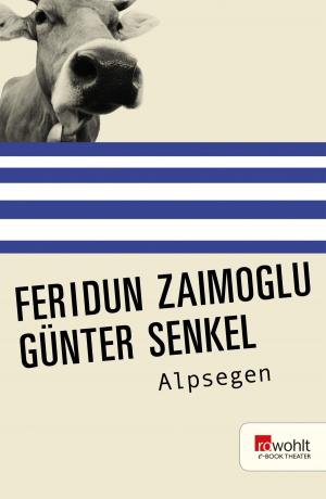Cover of the book Alpsegen by Oliver Maria Schmitt