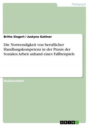 Cover of the book Die Notwendigkeit von beruflicher Handlungskompetenz in der Praxis der Sozialen Arbeit anhand eines Fallbeispiels by Anonym
