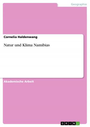 Cover of the book Natur und Klima Namibias by Annika Schmidt