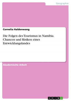 Cover of the book Die Folgen des Tourismus in Namibia. Chancen und Risiken eines Entwicklungslandes by Sarah Schepers