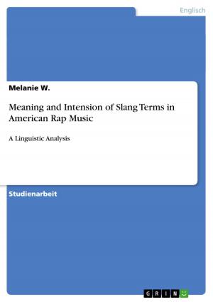 Book cover of Meaning and Intension of Slang Terms in American Rap Music