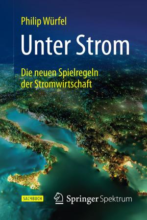 Cover of the book Unter Strom by Silvia Ziolkowski