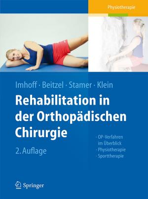 Cover of the book Rehabilitation in der orthopädischen Chirurgie by Felix Aharonian, Lars Bergström, Charles Dermer