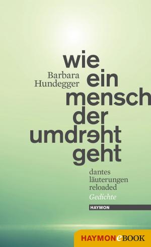 Cover of the book Wie ein Mensch der umdreht geht by Jürg Amann