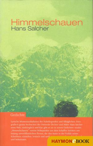 Cover of the book Himmelschauen by Lisa Lercher