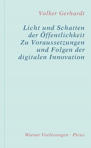 Cover of the book Licht und Schatten der Öffentlichkeit by Kristine von Soden