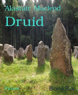 Cover of the book Druid by Christian Dörge, Edgar Allan Poe, Robert Bloch, Henry Slesar