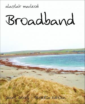 Cover of the book Broadband by Martin Barkawitz