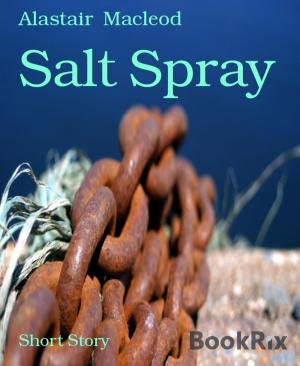 Cover of the book Salt Spray by Daniel Kempe