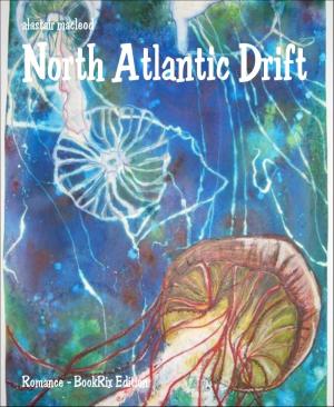 Cover of the book North Atlantic Drift by Martin Barkawitz