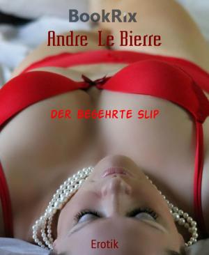Book cover of Der begehrte Slip
