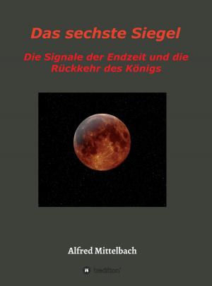 Cover of the book Das sechste Siegel by Vilmos Dr Czikkely