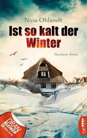 Cover of the book Ist so kalt der Winter by Andreas Kufsteiner