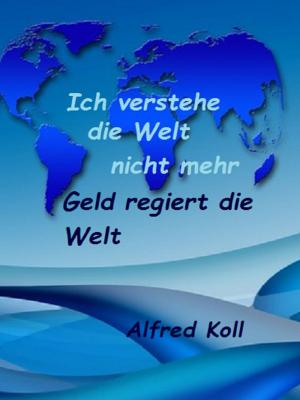 Cover of the book Ich verstehe die Welt nicht mehr by Jörg Becker