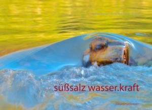 Cover of the book süßsalz wasser-kraft by Claudia Wetzel