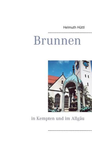 Cover of the book Brunnen by Marlene Abdel Aziz - Schachner