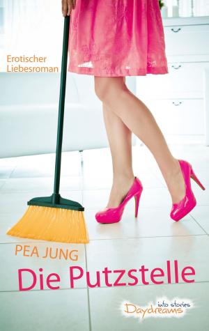Book cover of Die Putzstelle