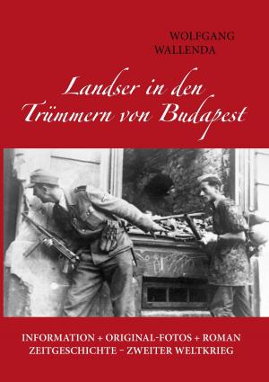 Book cover of Landser in den Trümmern von Budapest