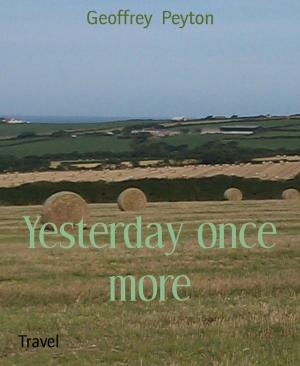Book cover of Yesterday once more