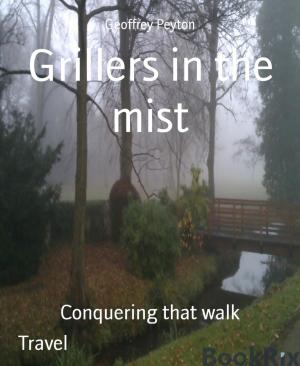Cover of the book Grillers in the mist by A. F. Morland