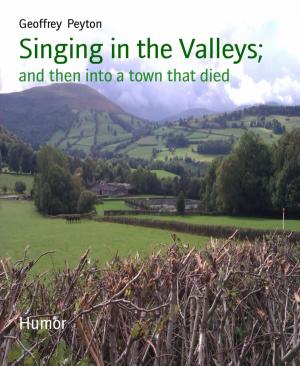 Cover of the book Singing in the Valleys; by Mattis Lundqvist