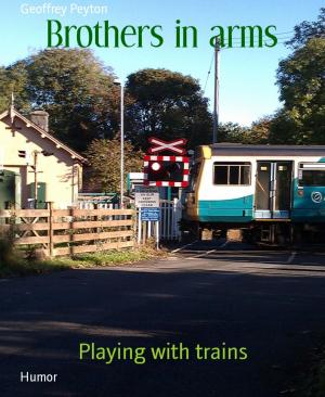bigCover of the book Brothers in arms by 