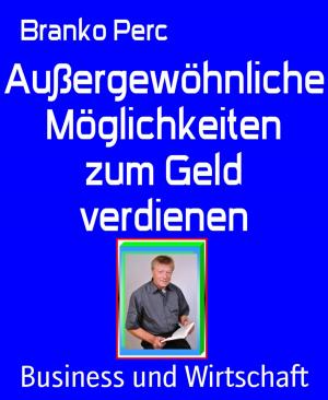 Cover of the book Außergewöhnliche Möglichkeiten zum Geld verdienen by Martin Barkawitz
