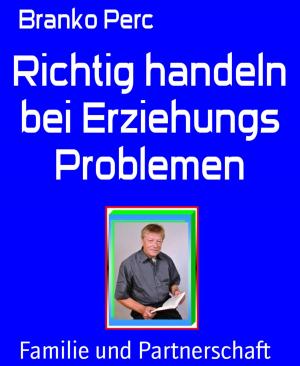 Cover of the book Richtig handeln bei Erziehungs Problemen by Uwe Erichsen