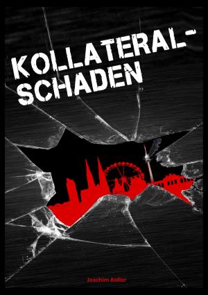 Book cover of Kollateralschaden