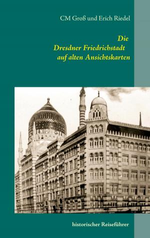 Cover of the book Die Dresdner Friedrichstadt auf alten Ansichtskarten by Gabriele Ebert