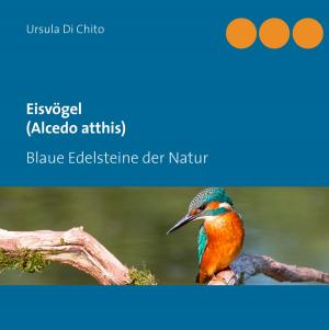 Cover of the book Eisvögel (Alcedo atthis) by Antje Steffen