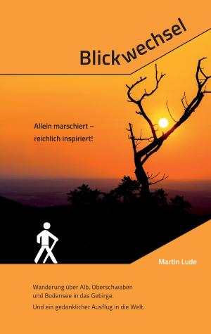 Cover of the book Blickwechsel by Helge Janßen