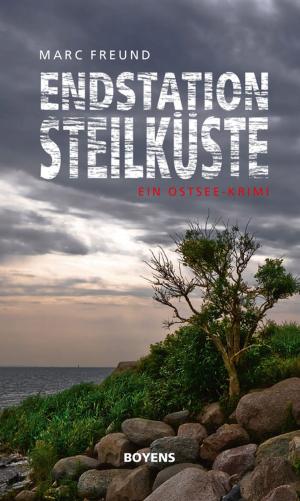 Book cover of Endstation Steilküste