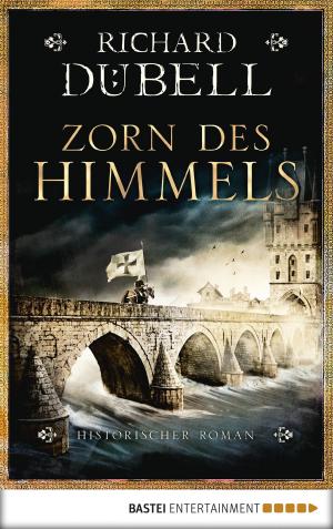 Book cover of Zorn des Himmels