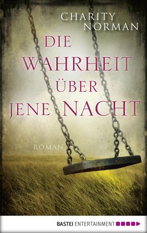 Cover of the book Die Wahrheit über jene Nacht by Simon Borner