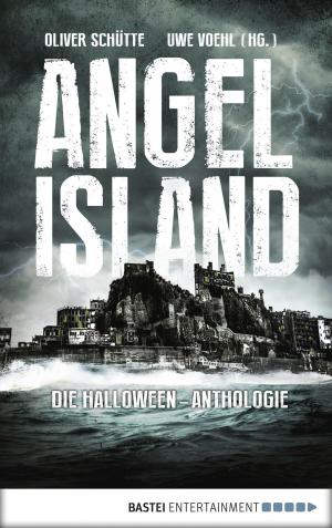 Cover of the book Angel Island by Bernd Perplies