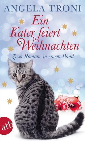Cover of the book Ein Kater feiert Weihnachten by Christine von Brühl