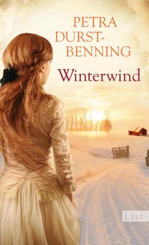 Cover of the book Winterwind by Kate Rhodes