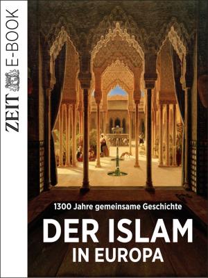 Cover of the book Der Islam in Europa by Gunter Pirntke