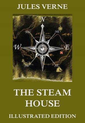 Cover of the book The Steam House by Lew Tolstoi