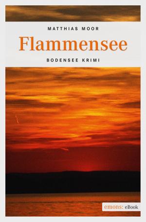 Cover of the book Flammensee by Jutta Mehler