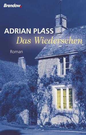 Cover of the book Das Wiedersehen by Albrecht Gralle