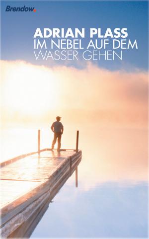 Book cover of Im Nebel auf dem Wasser gehen