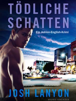 Cover of the book Tödliche Schatten by Stephan Niederwieser