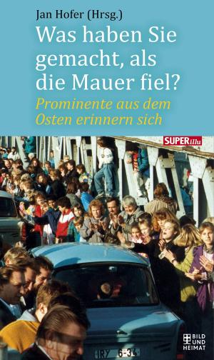 Cover of the book Was haben Sie gemacht, als die Mauer fiel? by Daniela Wander